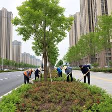 贝博中国 任丘市政绿化属于什么行业分类