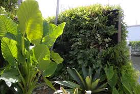 BB贝博艾弗森官网 宿迁洋河绿化工程